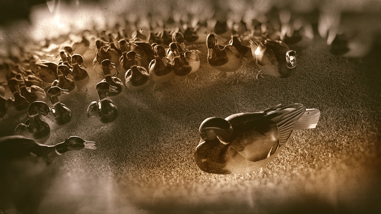 Nature Magazine Futures